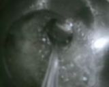 A picture of step 4 of Sweet Mini mathri.