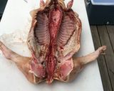 A picture of step 7 of Roast whole Pig.