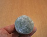 A picture of step 9 of Yomogi Manju.