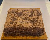 Foto langkah ke 7 dari resep Bolu Gulung Mocca.