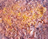 Foto del paso 4 de la receta: | Paella prohibida | J.M. García