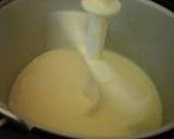 White Chocolate Caramel No Guilt Icecream recipe step 5 photo