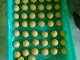 Bola Salju