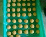Foto langkah ke 6 dari resep Bola Salju.