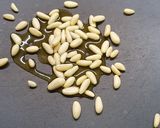 Foto del paso 2 de la receta: Hojaldre de zarangollo