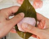 Une image de l'étape 9 de Wagashi 