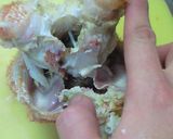 A picture of step 5 of How To Shell a Hair Crab.