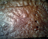 A picture of step 7 of gingerbread cookie.