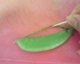 A picture of step 2 of How to de-String Sugar Snap Peas.