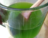 Foto del paso 8 de la receta: Concentrado de Limón