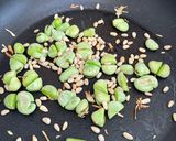 A picture of step 1 of Quick broad bean salad.