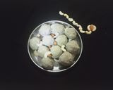 કુલેર (Kuler Recipe In Gujarati) રેસીપી સ્ટેપ3ફોટો