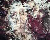A picture of step 4 of Rotkohl, Blaukraut, Rotkraut - Red Cabbage.