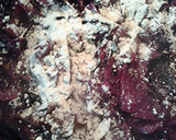 A picture of step 4 of Rotkohl, Blaukraut, Rotkraut - Red Cabbage.