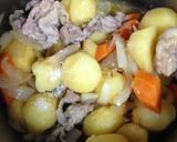 A picture of step 9 of My Too-Easy Nikujaga (Japanese Simmered Meat and Potatoes).
