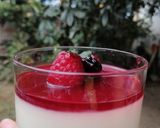 Foto del paso 28 de la receta: Panna cotta con coulis de frutos rojos, Jamaica y mezcal