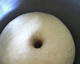 A picture of step 10 of Bread made from Tofu and Brown Rice.