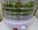 A picture of step 4 of How To Store Rosemary.