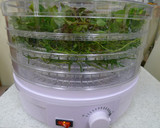 A picture of step 4 of How To Store Rosemary.