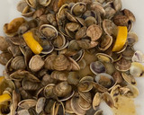 Foto del paso 6 de la receta: Spaghetti al Nero di Sepia con Frutos del Mar