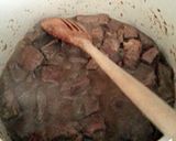 A picture of step 3 of Tinklee's Family Stew.