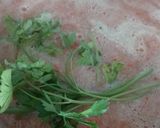 A picture of step 4 of Red Chicken Soup for Beginners.