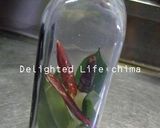 A picture of step 1 of Versatile Garlic Soy Sauce.