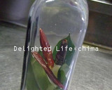 A picture of step 1 of Versatile Garlic Soy Sauce.