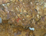 A picture of step 4 of Denderu.