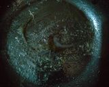 A picture of step 9 of Homemade 🥞 pancakes 😋.
