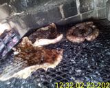 Foto del paso 4 de la receta: Matambre a la parrilla