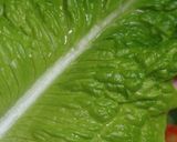 A picture of step 16 of A Chef's Recipe for Yuzu Honey-Flavored Samgyeopsal.