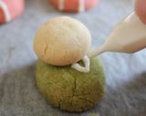 A picture of step 14 of Decoration Cookies: For Your Cakes on Doll's Day.