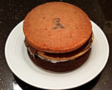 A picture of step 21 of Neapolitan Layer Cake.