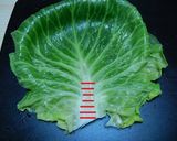 A picture of step 3 of [Farmer's Recipe] My Family's Cabbage Rolls.