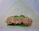 A picture of step 6 of Shrimp and Ground Chicken Spring Rolls.