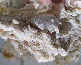 Foto langkah ke 4 dari resep Ayam Kentucky.