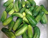 Whole Pickles with onions recipe step 1 photo