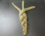 A picture of step 10 of Cute Braided Bread.
