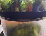 Foto del paso 4 de la receta: Brócolis al vapor