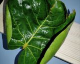 Foto langkah ke 7 dari resep Nasi bakar ayam kemangi.