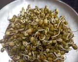 स्प्राउट चाट (sprout chat recipe in marathi) रेसिपी स्टेप 1 फोटो 