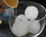 Foto del paso 1 de la receta: Gin-tonic con albaricoque y flores de saúco
