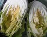 Foto langkah ke 1 dari resep Homemade Kimchi.