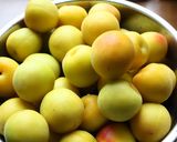 A picture of step 1 of Sodium-Reduced Umeboshi.