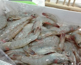 Foto del paso 1 de la receta: Langostinos al pil pil o al ajillo
