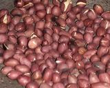 सात्विक इडली-सांबर (चने दाल की,सिंग्दाना की चटनी के साथ) रेसिपी चरण 8 फोटो