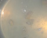 A picture of step 6 of Rich Kombu Seaweed Flavour Manila Clam Miso Soup.