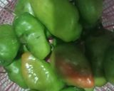 Foto langkah ke 1 dari resep Sambal Terasi Cabe Bandung.