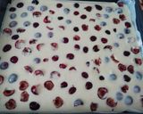 Gyümölcsös lepény recept fázis 7 fotója